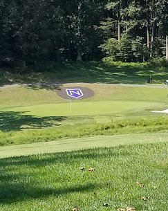 The 'N' emblem on a Norbeck Country Club green with the tournament flag in place.
